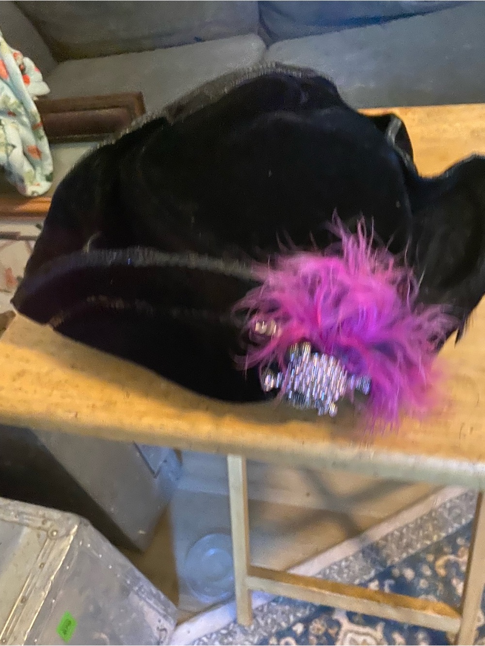 Black Velvet Women's Decorative Hat with Pink Feather Accent